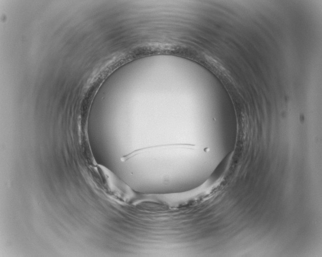 X0000052650494200507221845