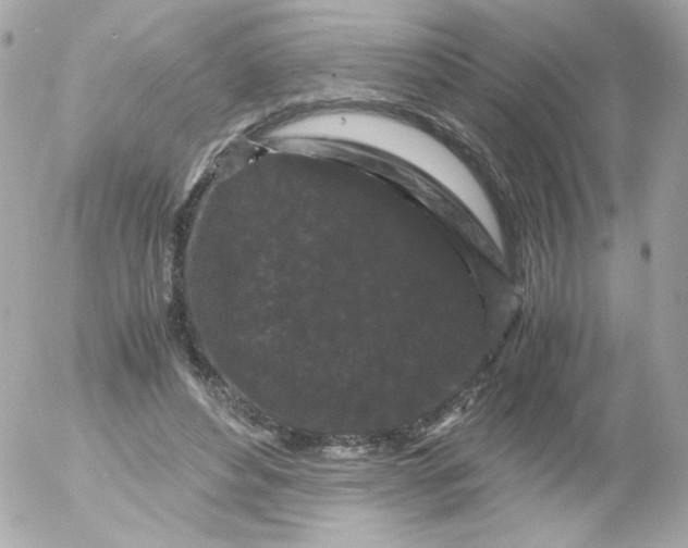 X0000052650496200507221845