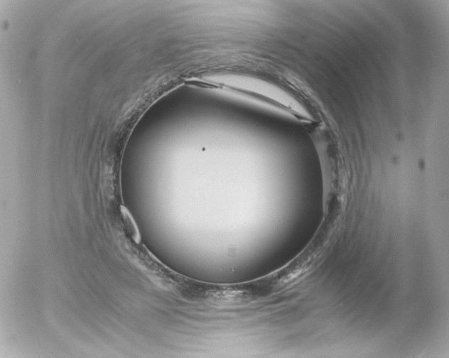 X0000052650497200507221845