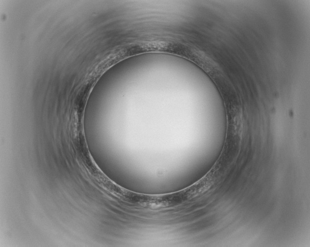 X0000052650498200507221845