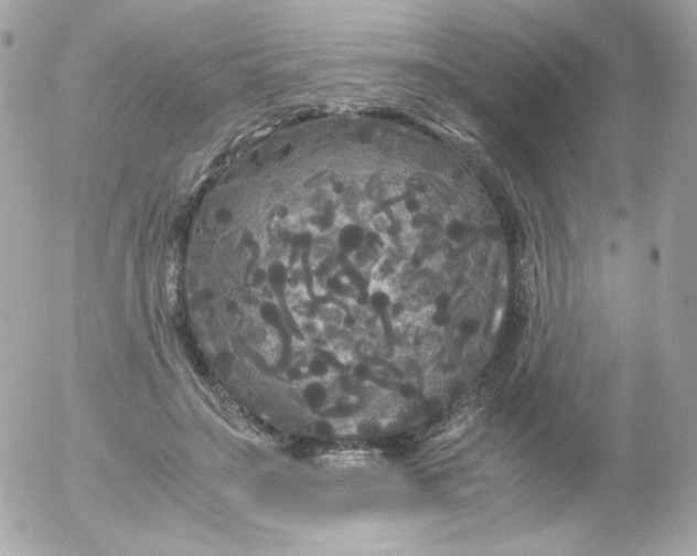 X0000052650499200507221845