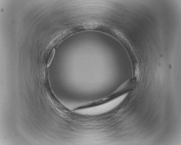 X0000052650501200507221845