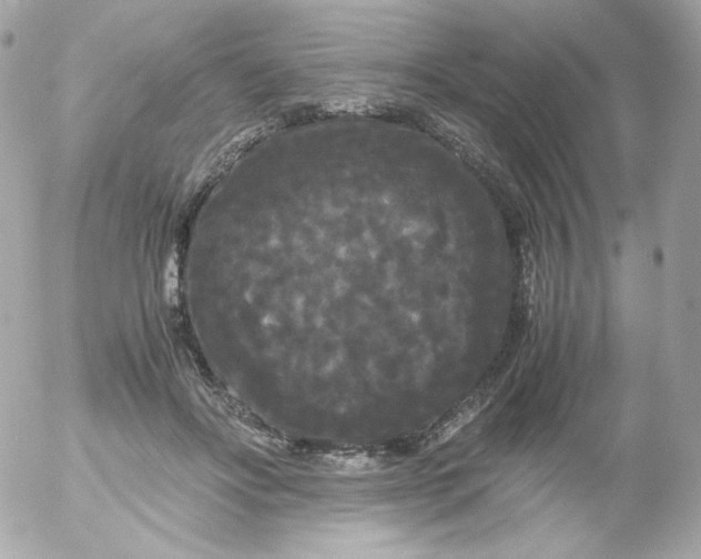 X0000052650502200507221845