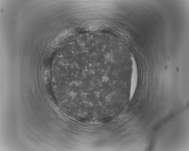 X0000052650503200507221845