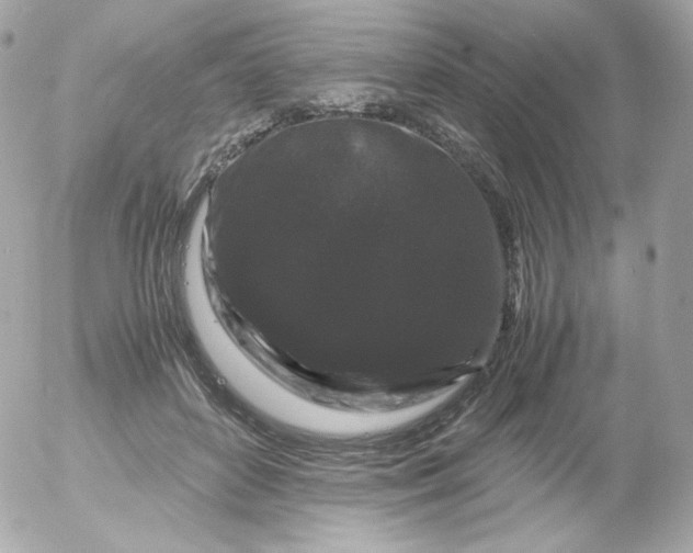 X0000052650504200507221845