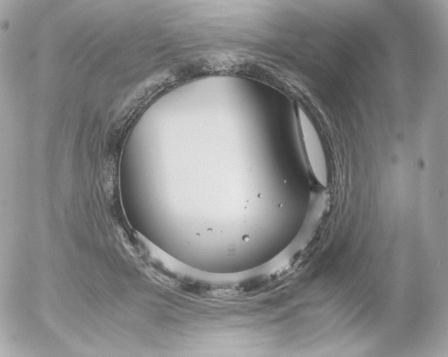 X0000052650505200507221845