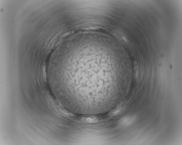 X0000052650506200507221845