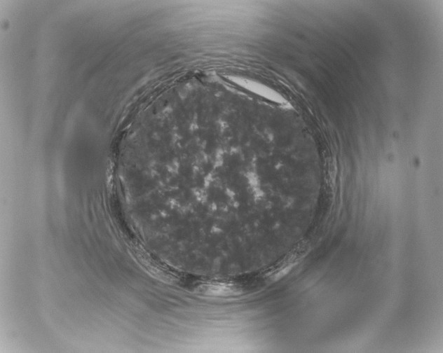 X0000052650507200507221845