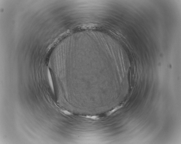 X0000052650508200507221845