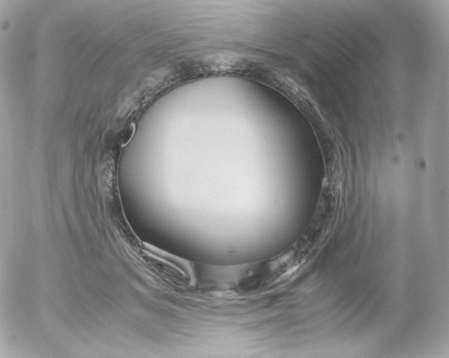 X0000052650509200507221845