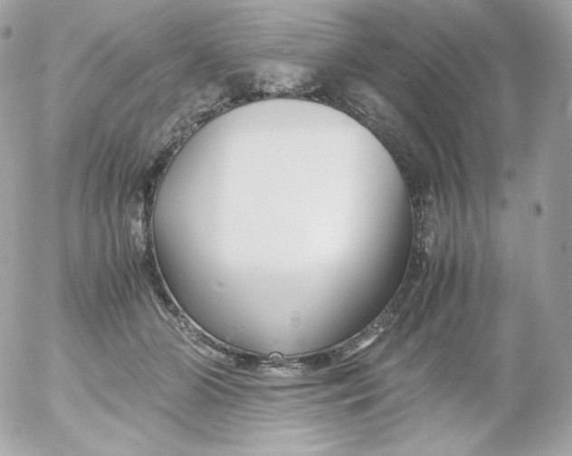 X0000052650510200507221845