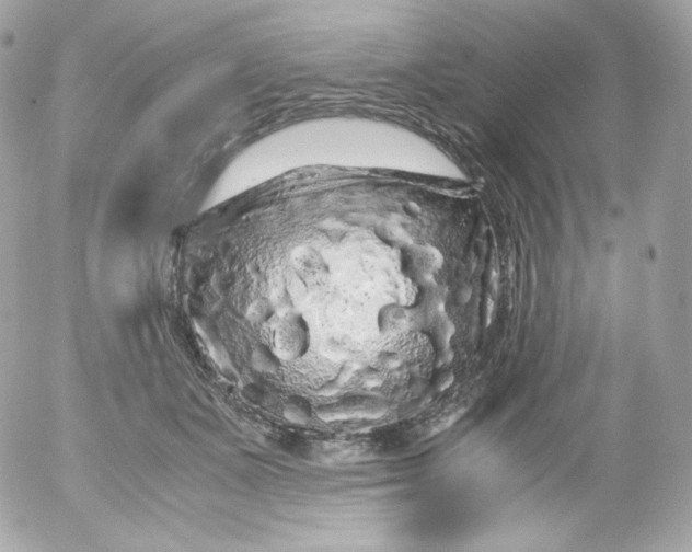 X0000052650511200507221845