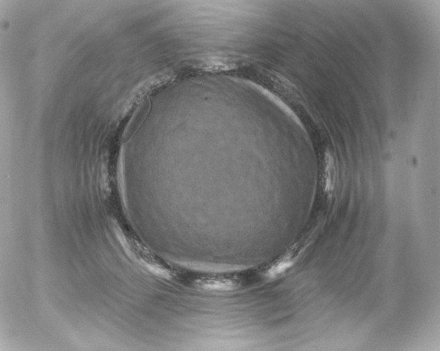 X0000052650512200507221845