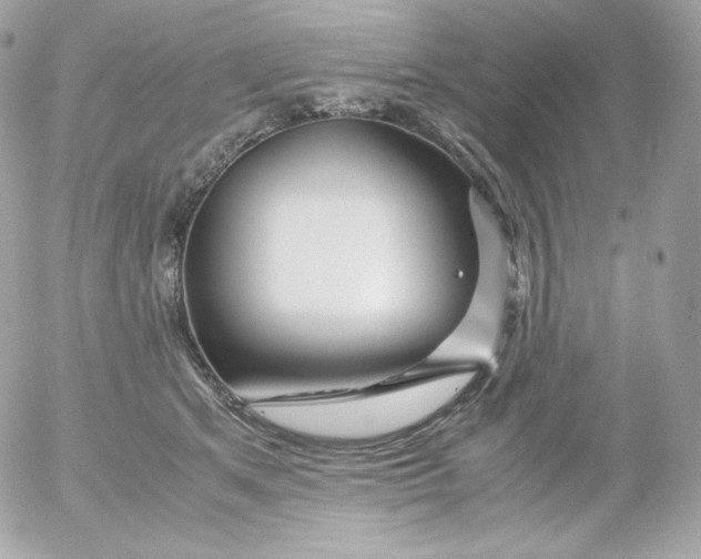 X0000052650513200507221845