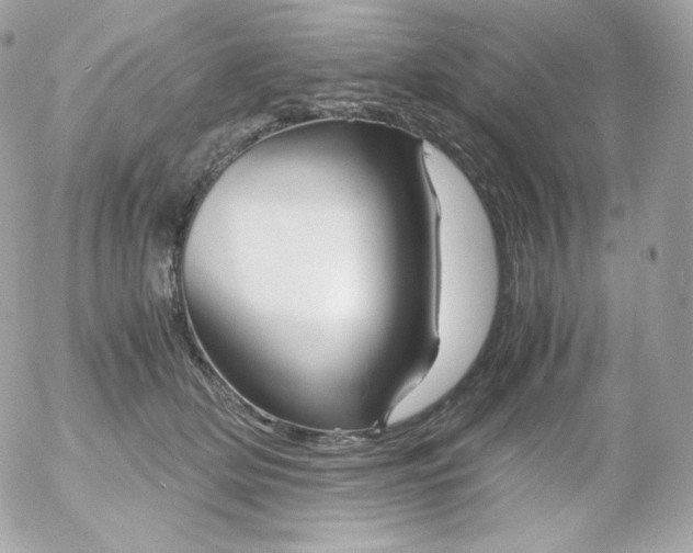 X0000052650514200507221845