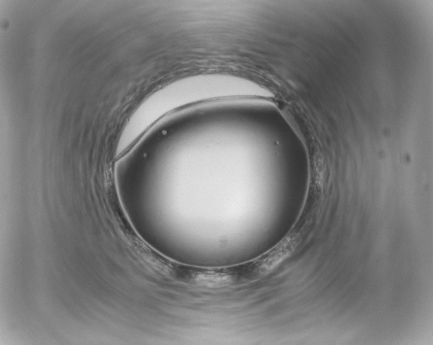 X0000052650515200507221845