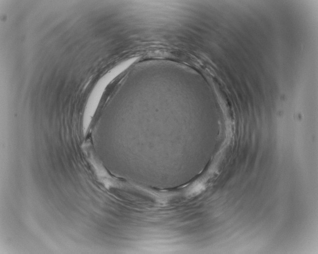 X0000052650516200507221845