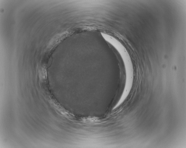 X0000052650517200507221845