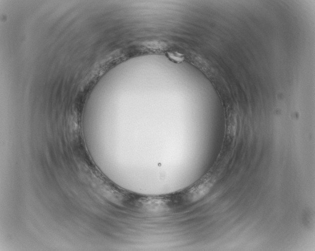 X0000052650518200507221845