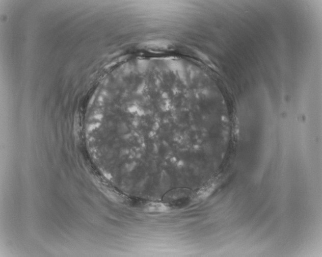 X0000052650519200507221845