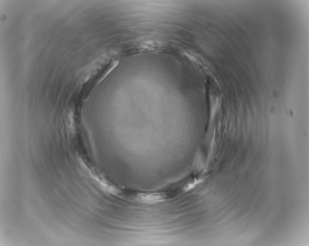 X0000052650520200507221845