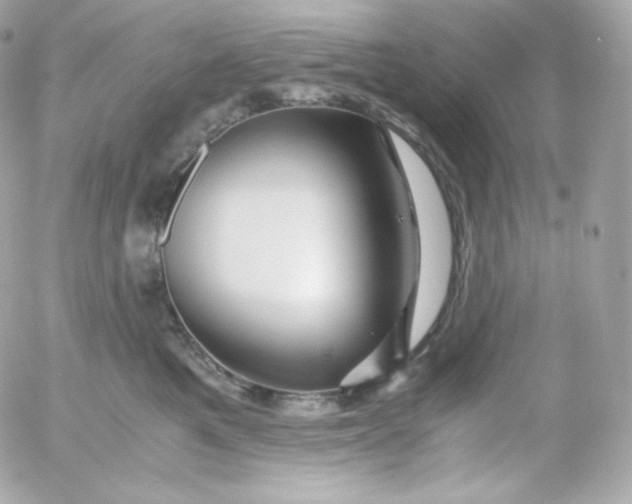 X0000052650521200507221845