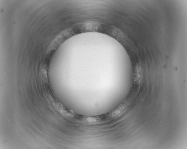 X0000052650522200507221845