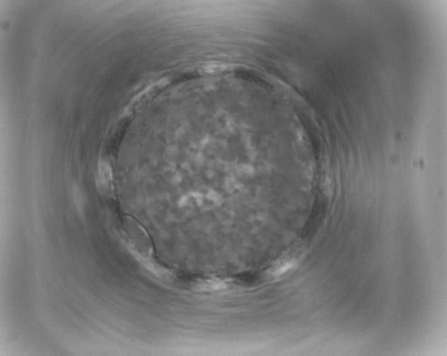 X0000052650523200507221845