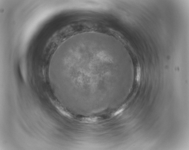 X0000052650524200507221845