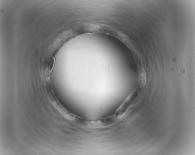 X0000052650525200507221845