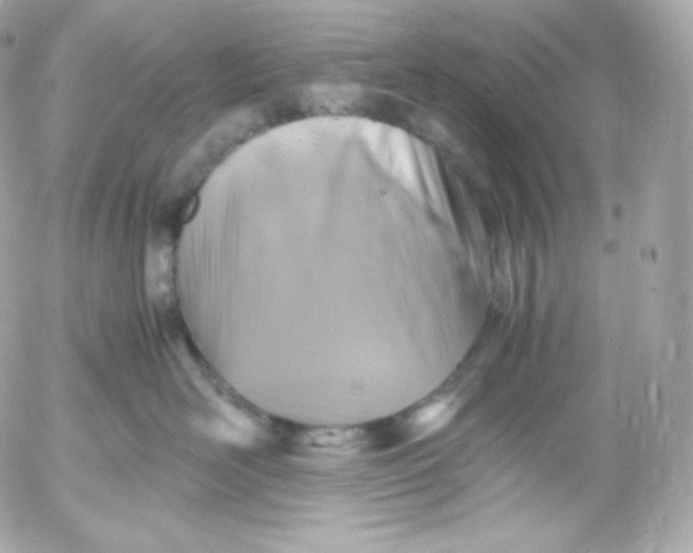 X0000052650526200507221845