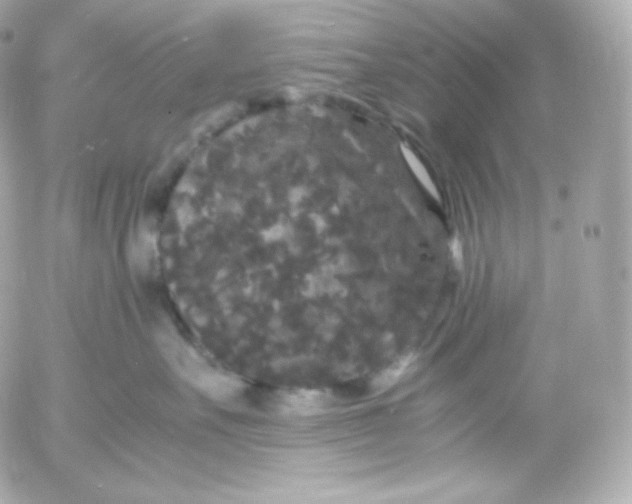 X0000052650527200507221845