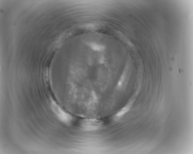 X0000052650528200507221845