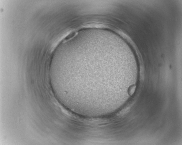 X0000052650529200507221844