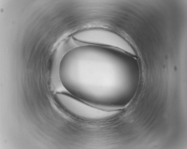 X0000052650530200507221844