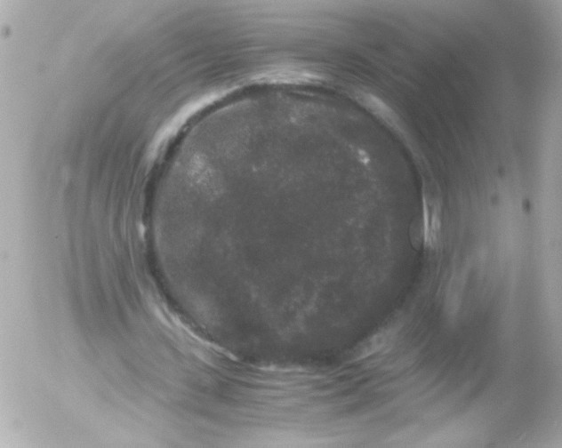 X0000052650531200507221844