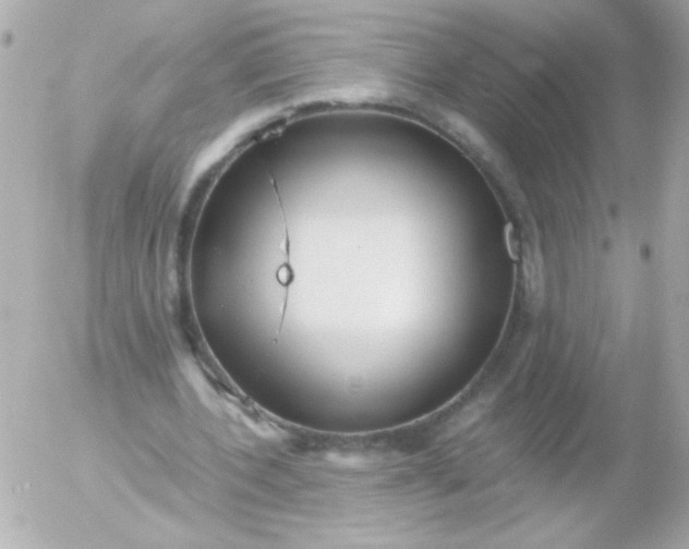 X0000052650532200507221844