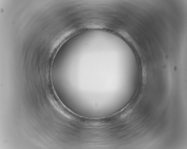 X0000052650533200507221844