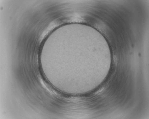 X0000052650534200507221844