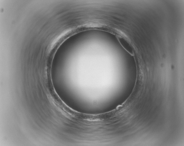 X0000052650535200507221844