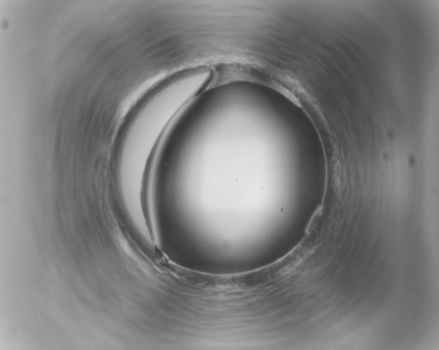 X0000052650536200507221844