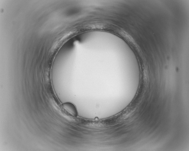 X0000052650537200507221844