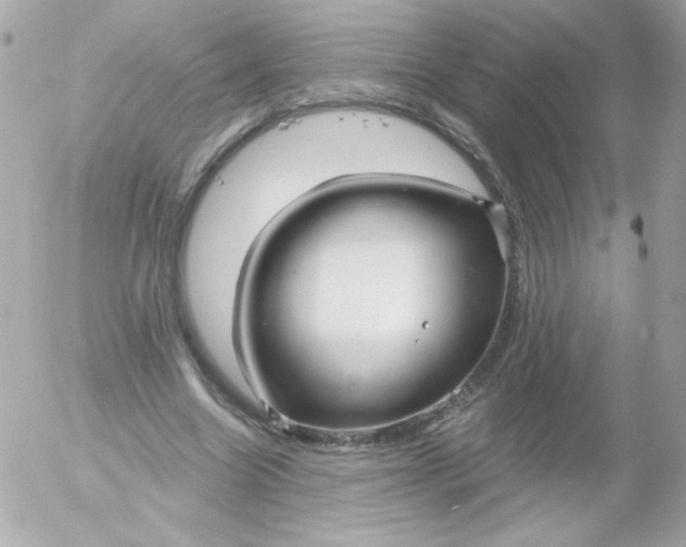 X0000052650538200507221844