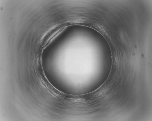 X0000052650539200507221844