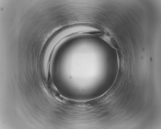 X0000052650540200507221844