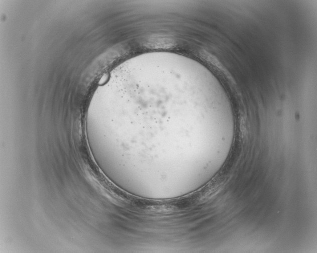 X0000052650541200507221844