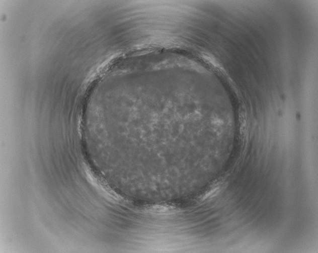 X0000052650542200507221844