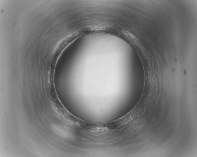 X0000052650543200507221844