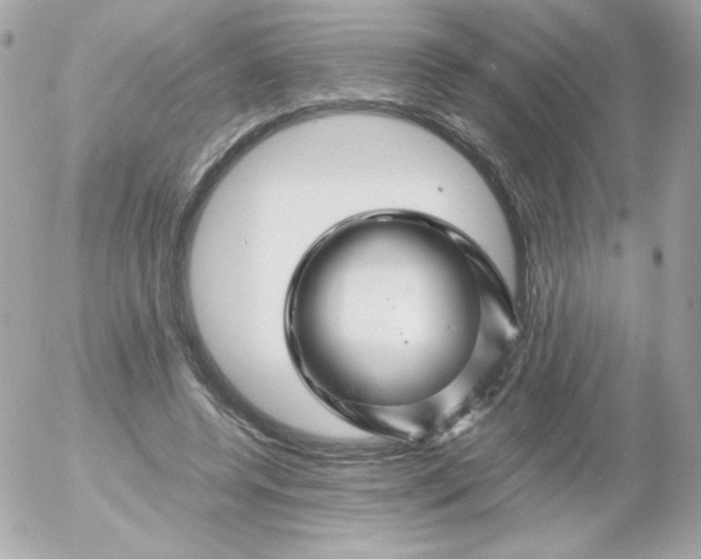 X0000052650544200507221844