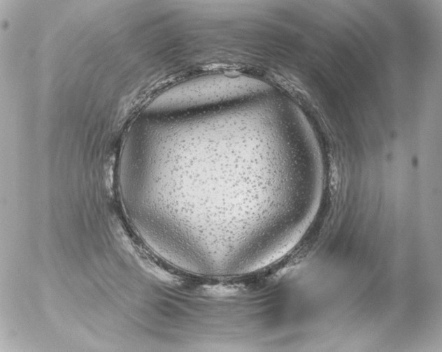 X0000052650545200507221844